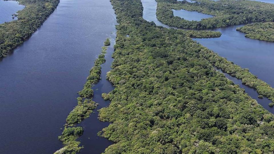 Arquipélago das Anavilhanas