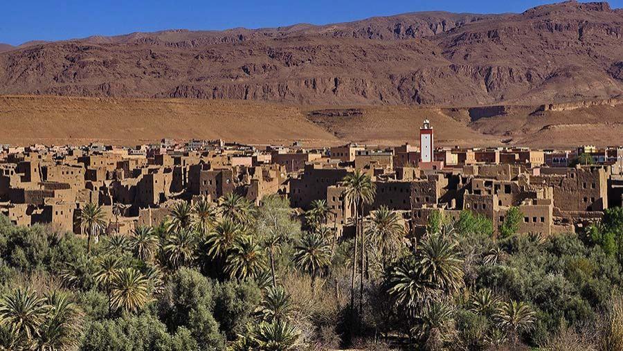 Dades und Todhra Schlucht  - Marokko