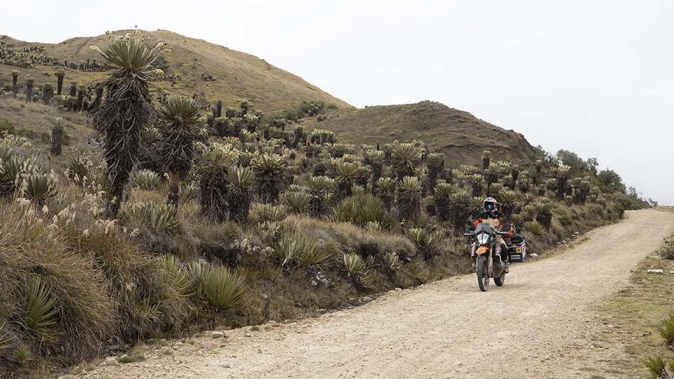 El Cocuy